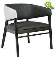 Occasional Arm Chair - SPFRBI